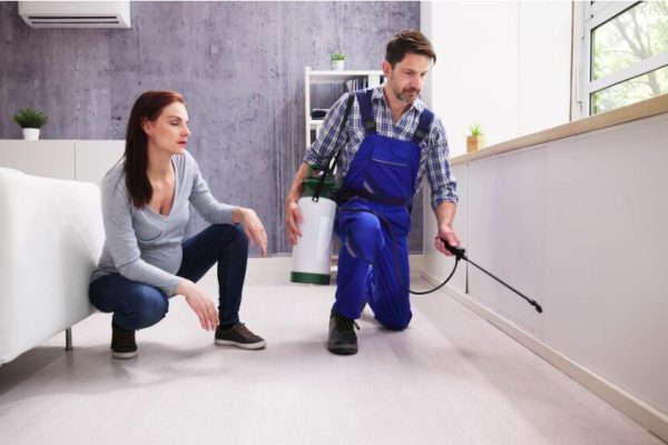 Pest Control Services in Navi Mumbai | Pest Control Navi Mumbai