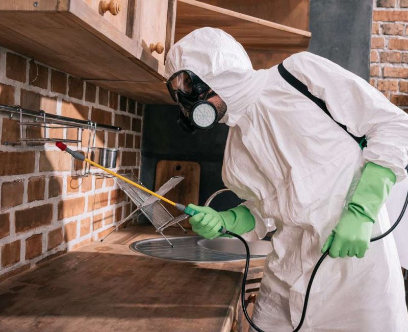 pest control operator spraying pesticides for cockroach infestation